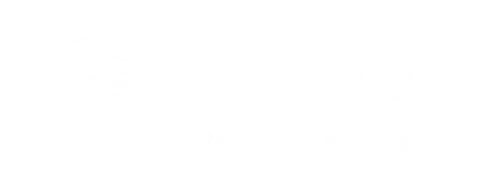 finnoval logo